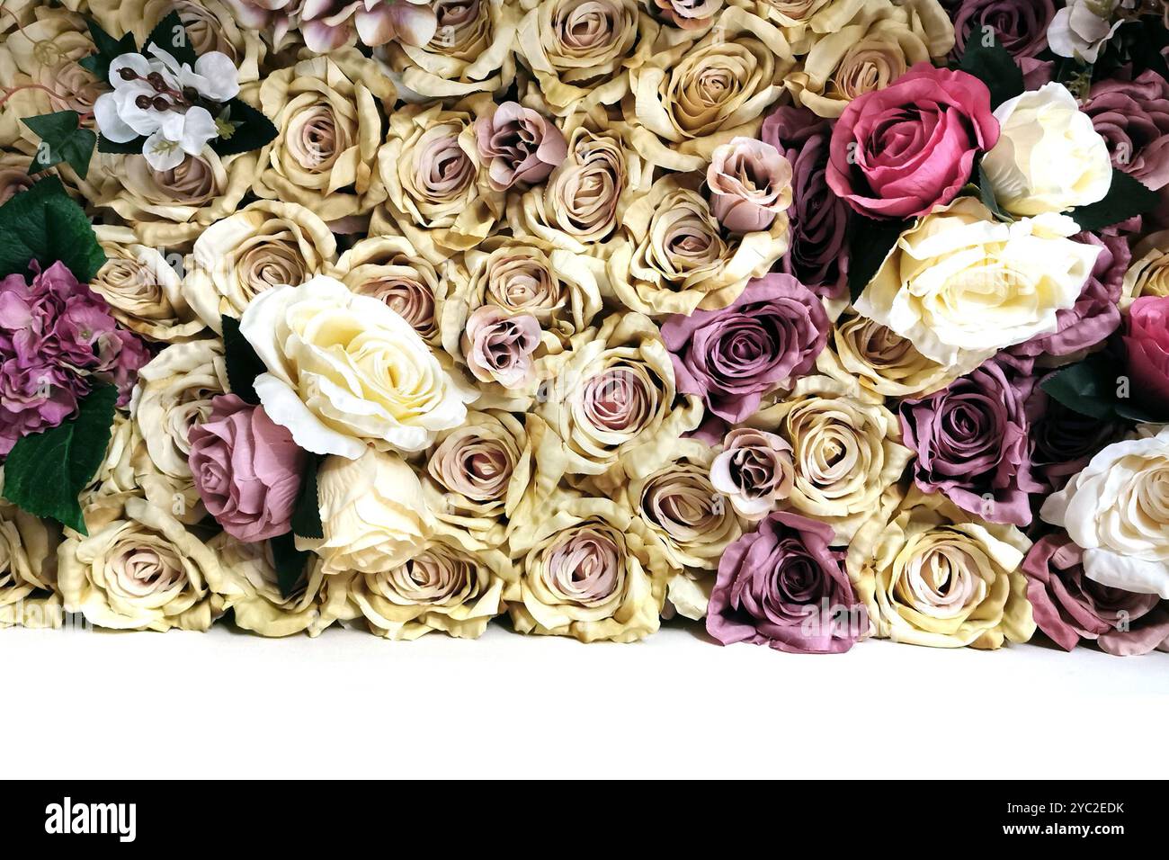 dried roses texture as very nice background Stock Photo - Alamy