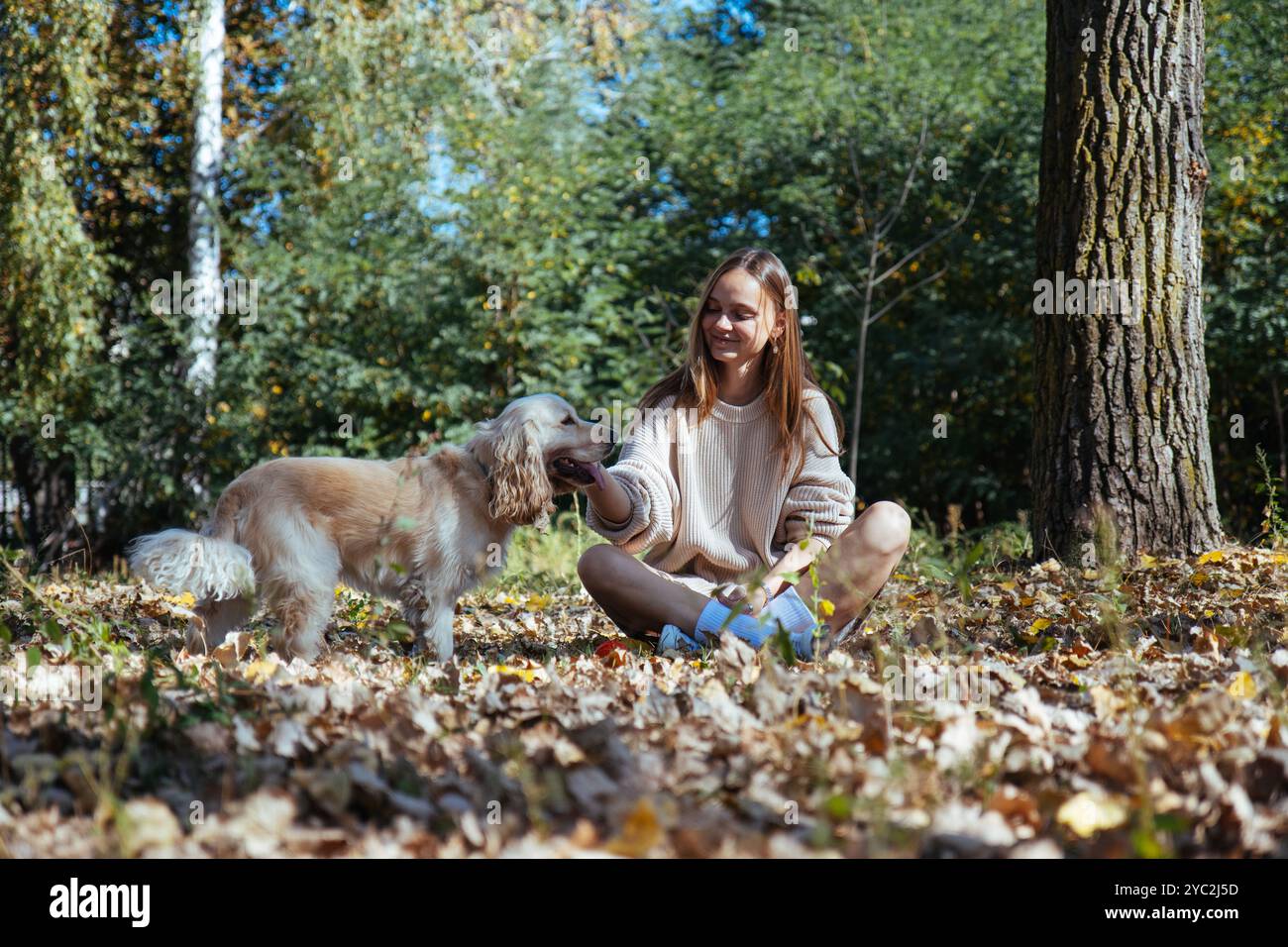 A girl laughs as she sits on leaves, cuddling her light dog Stock Photo ...