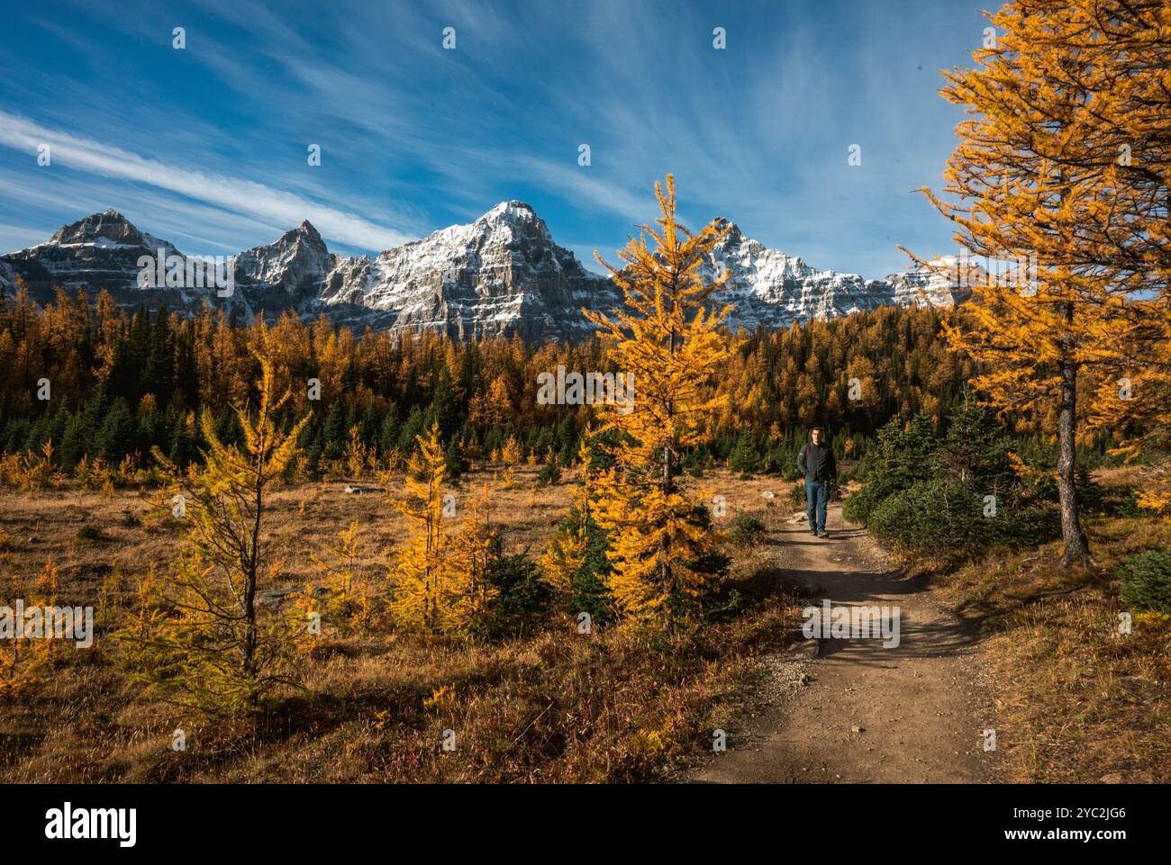 Larch valley banff national hi-res stock photography and images - Alamy