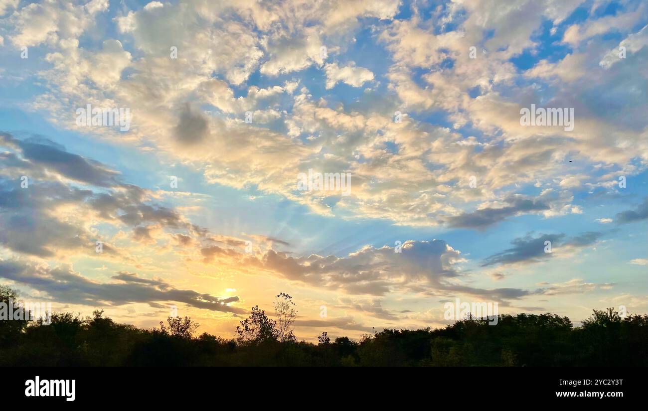 Majestic sunrise paints the sky in hues of gold and blue. Billowing clouds catch the emerging light above a silhouetted tree line. - Smartphone Captured Stock Image