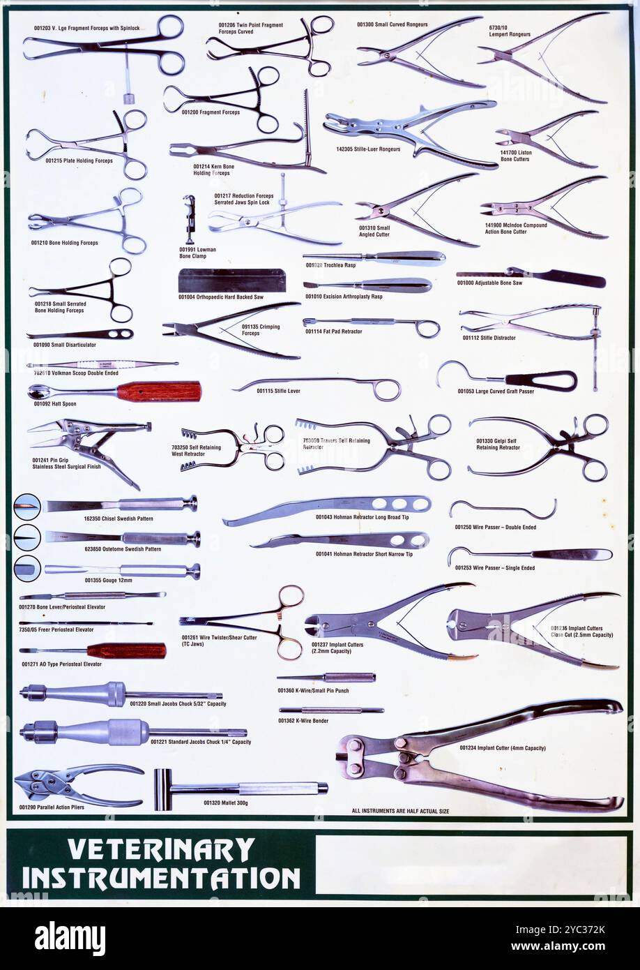 A chart of various veterinary instrumentation Stock Photo