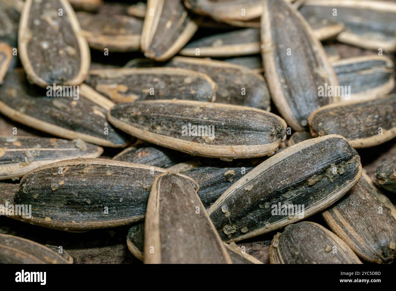 Salty seeds hi-res stock photography and images - Alamy