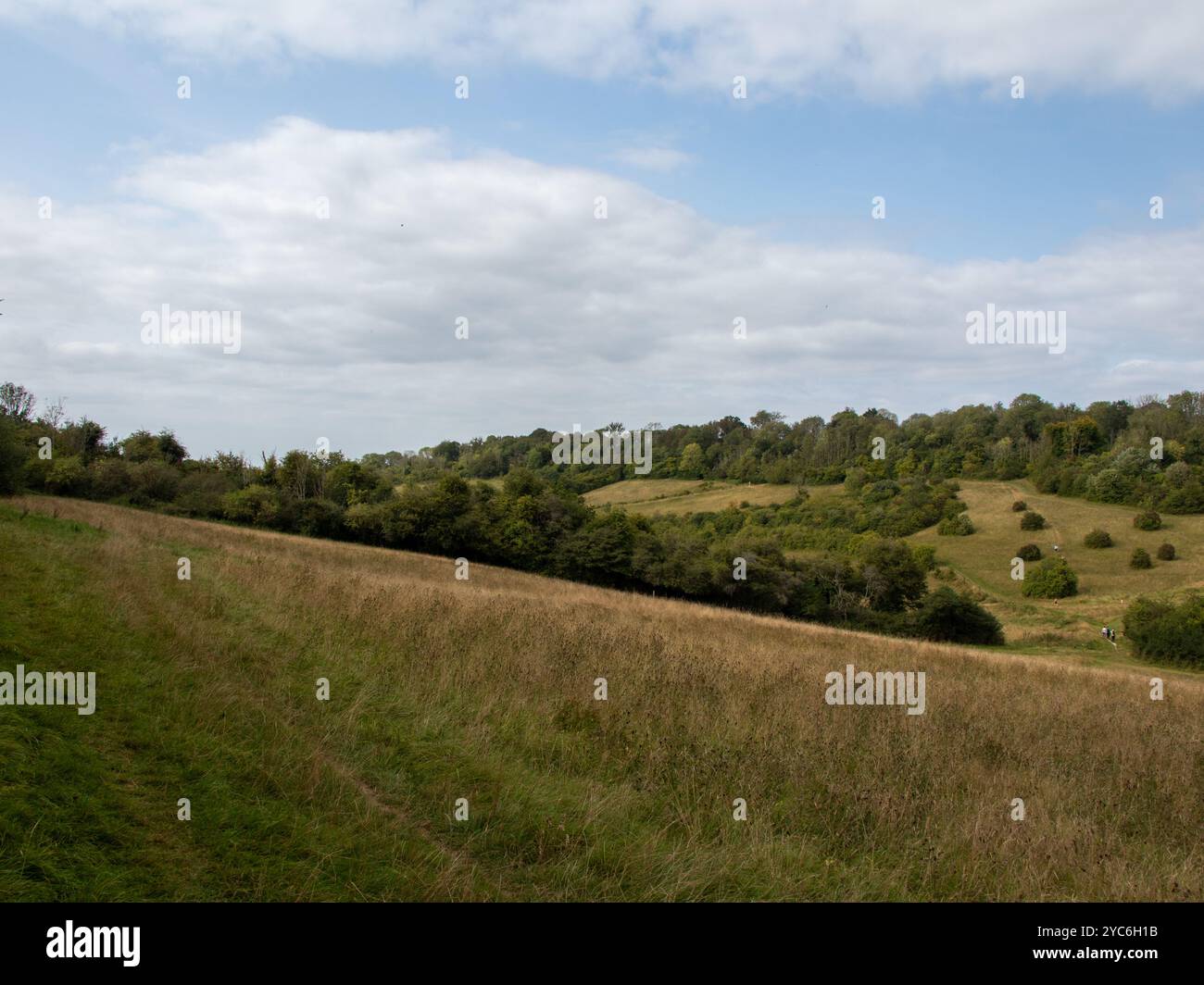 Farthing downs hi-res stock photography and images - Alamy