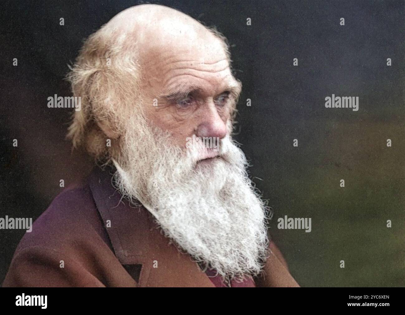 CHARLES DARWIN (1809-1882)  English naturalist photographed about 1874 by his son Leonard. Stock Photo