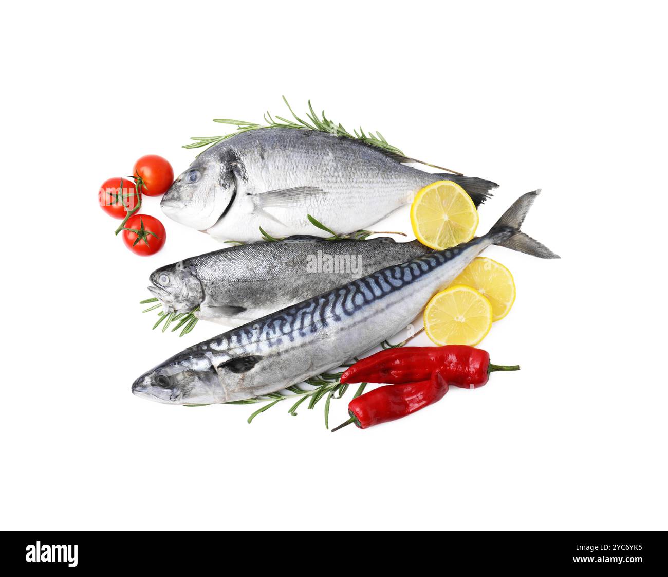 Sea food. Different types of fresh fish with spices and tomatoes ...
