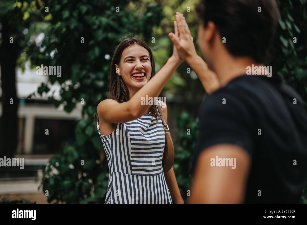 Joyful friends giving a high five in a park setting Stock Photo - Alamy