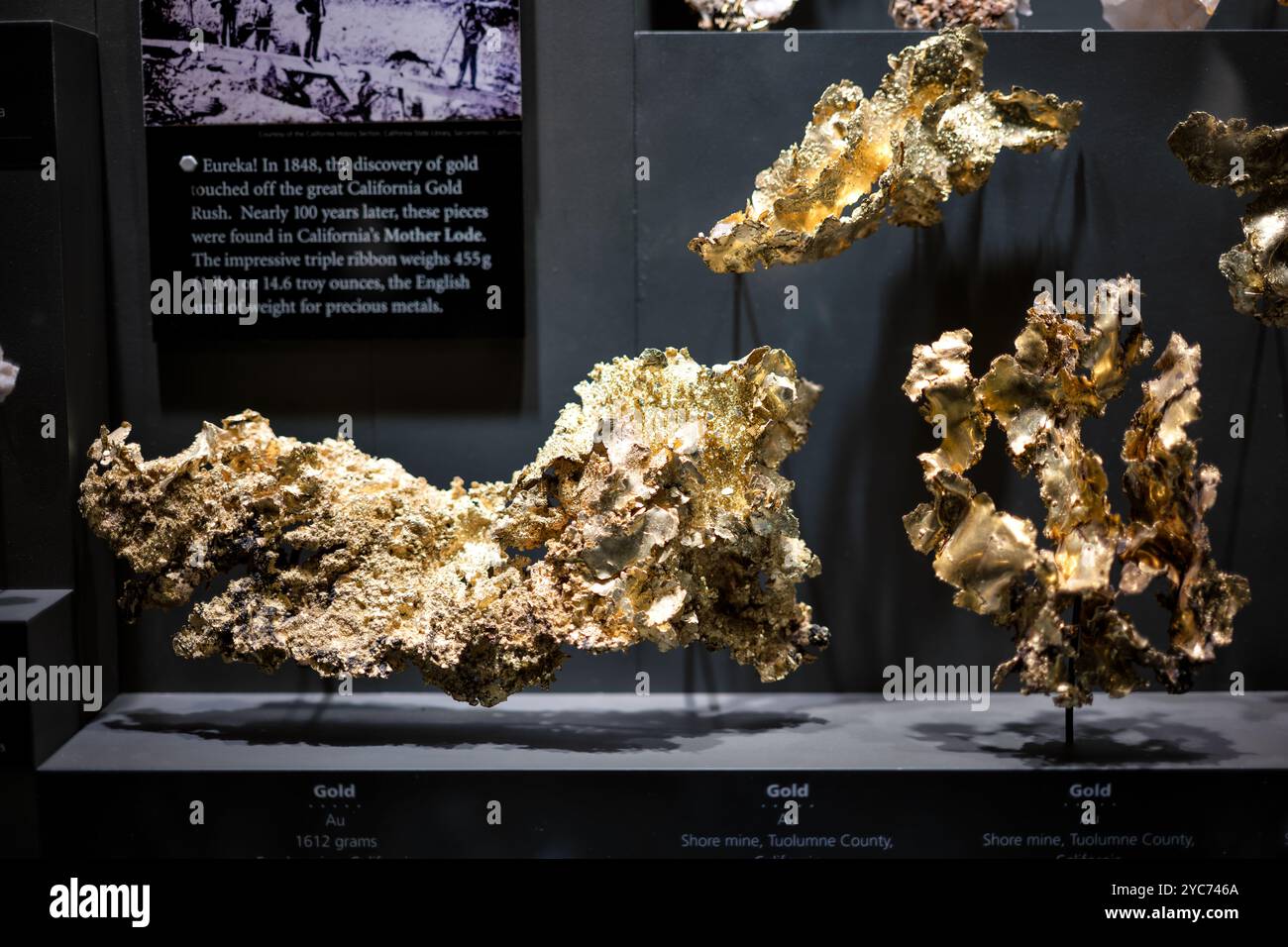 National Museum Of Natural History Gold Nuggets Washington DC // WASHINGTON DC — The National Museum of Natural History's gem and mineral collection features an impressive display of large natural gold nuggets. Located in the Janet Annenberg Hooker Hall of Geology, Gems, and Minerals, this exhibit showcases significant specimens of native gold in its natural form. The collection demonstrates the various sizes and formations in which gold naturally occurs. Stock Photo