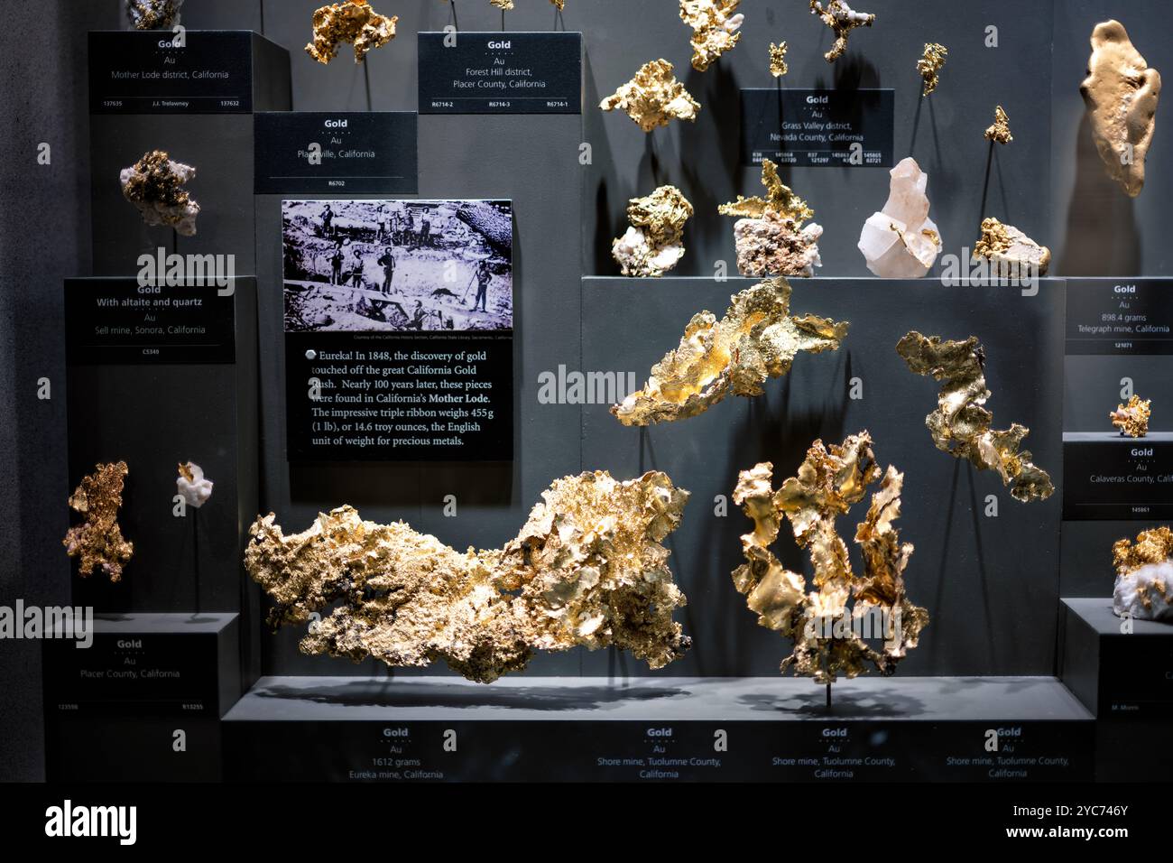 National Museum Of Natural History Gold Nugget Collection Washington DC // WASHINGTON DC — The National Museum of Natural History's gem and mineral collection features an impressive display of large natural gold nuggets. Located in the Janet Annenberg Hooker Hall of Geology, Gems, and Minerals, this exhibit showcases significant specimens of native gold in its natural form. The collection demonstrates the various sizes and formations in which gold naturally occurs. Stock Photo