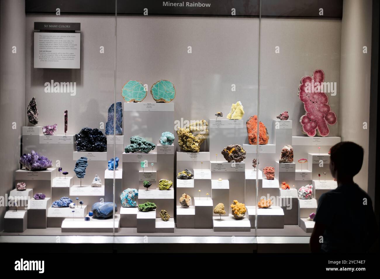 National Museum Of Natural History Mineral Rainbow Washington DC // WASHINGTON DC — The Eberly Minerals and Gems Gallery at the National Museum of Natural History features a striking mineral rainbow display showcasing the spectrum of naturally occurring mineral specimens. This signature exhibit in the museum's renowned mineral collection demonstrates the vast diversity of mineral colors and formations. The carefully curated display arranges specimens by color to create a natural rainbow effect. Stock Photo