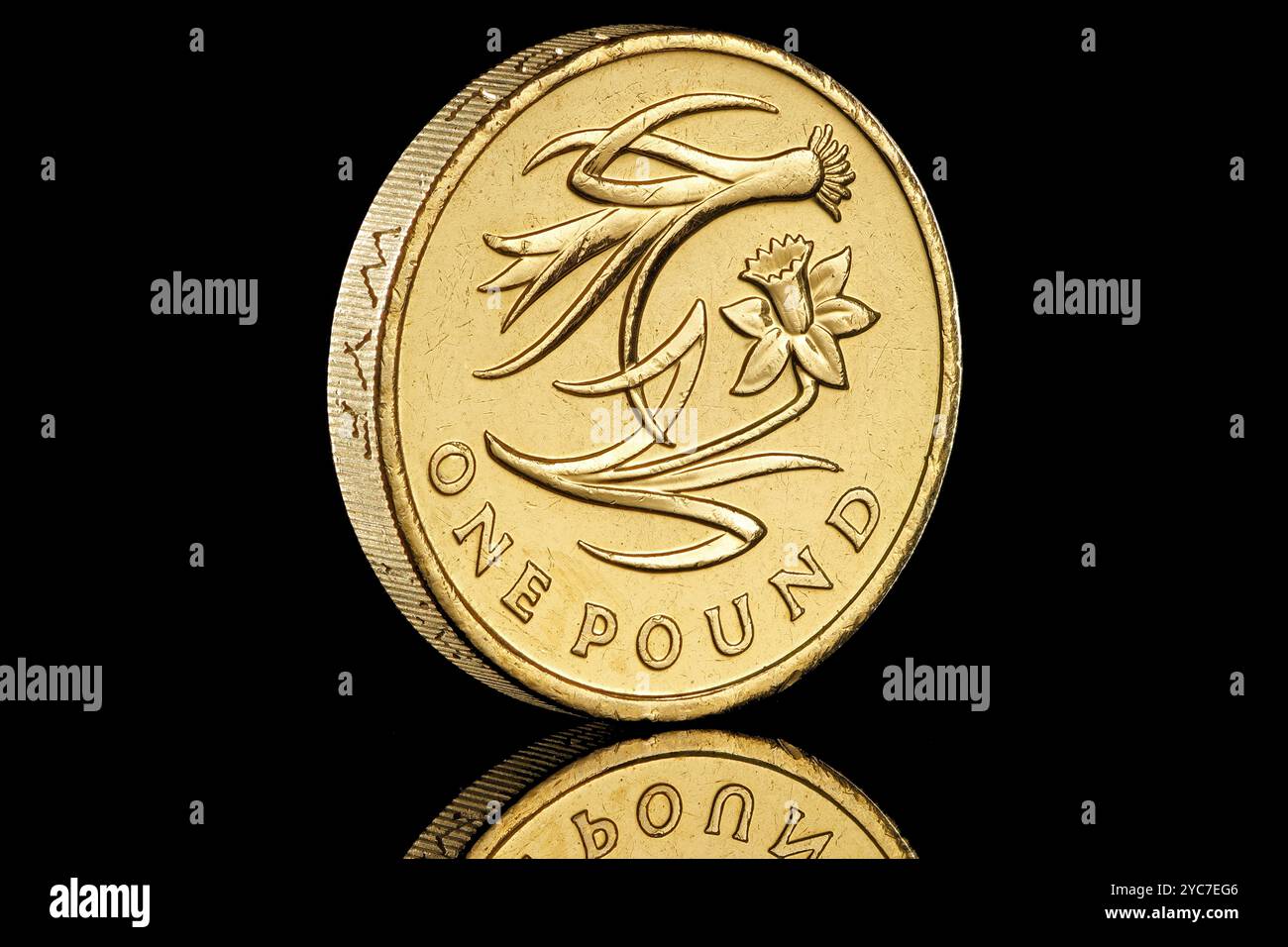 magius casino no deposit bonus