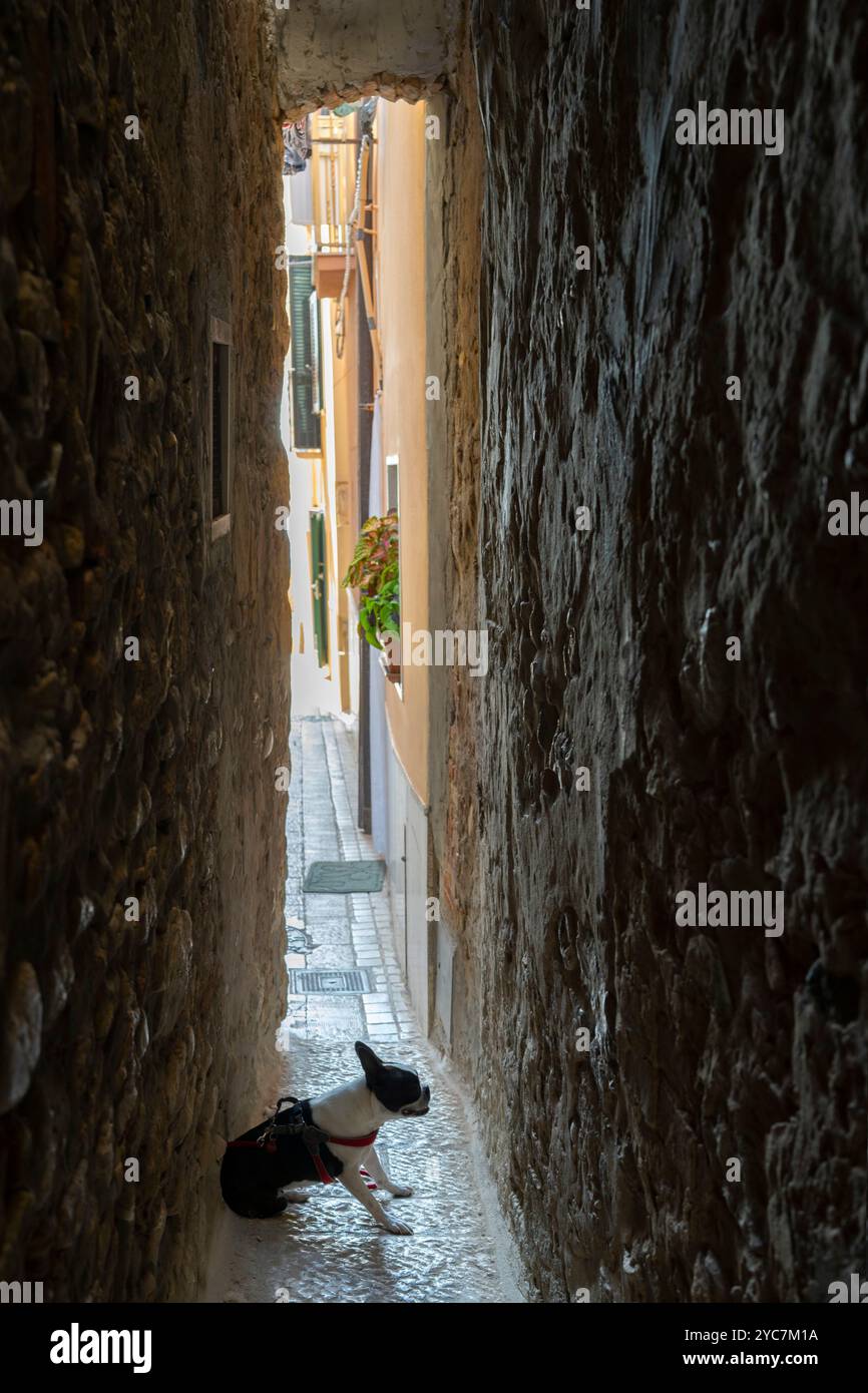 A Rejecelle, Narrow Alley, Termoli, Campobasso, Molise, Italy Stock Photo