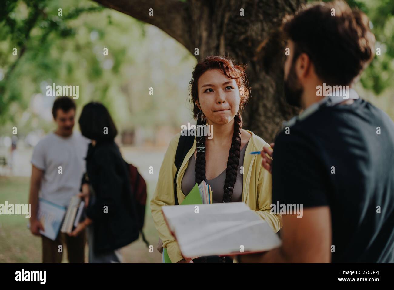 Diverse students collaborating on assignments in a sunny park setting Stock Photo