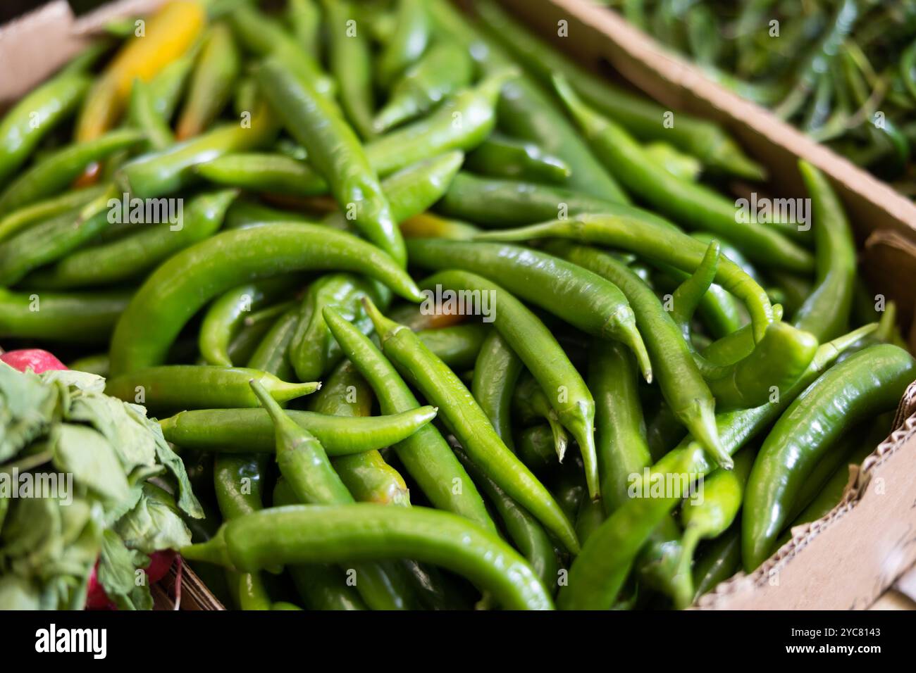 Photo shows garden stuff shop window with display of chilli pepper ...