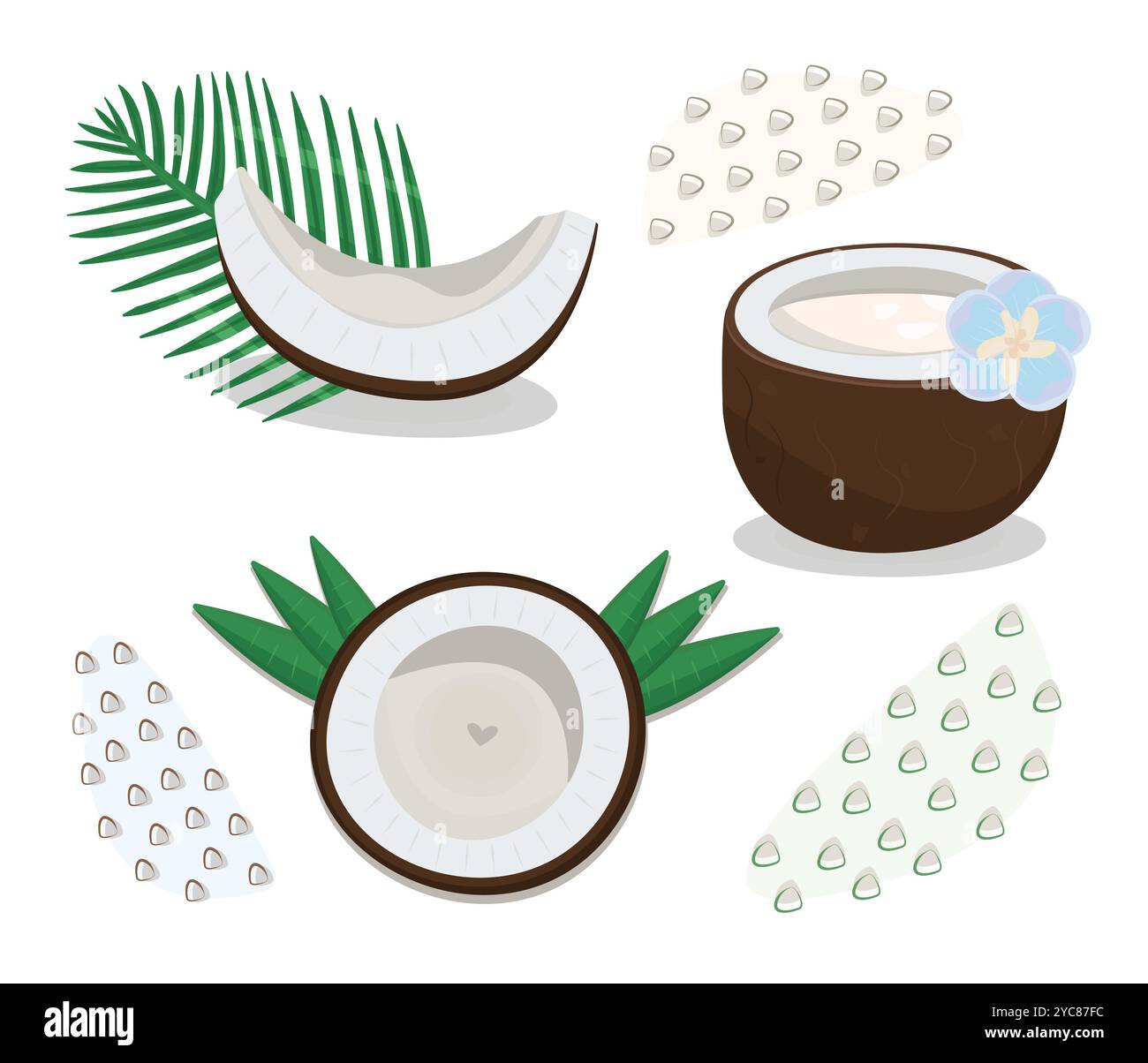 Colorful coconut set in different variations, nut piece with leaves, half of coconut, vector illustrations Stock Vector