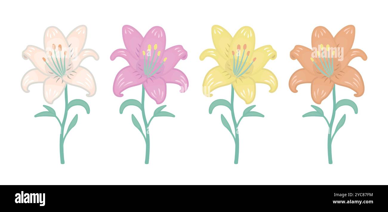 Lily flowers in white, pink, yellow and orange colors, buds with stems and leaves, vector colorful set Stock Vector
