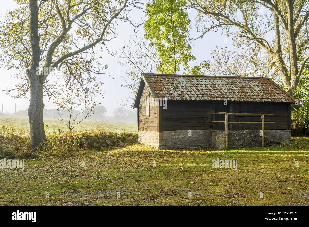 Rural landscape with fog hi-res stock photography and images - Alamy