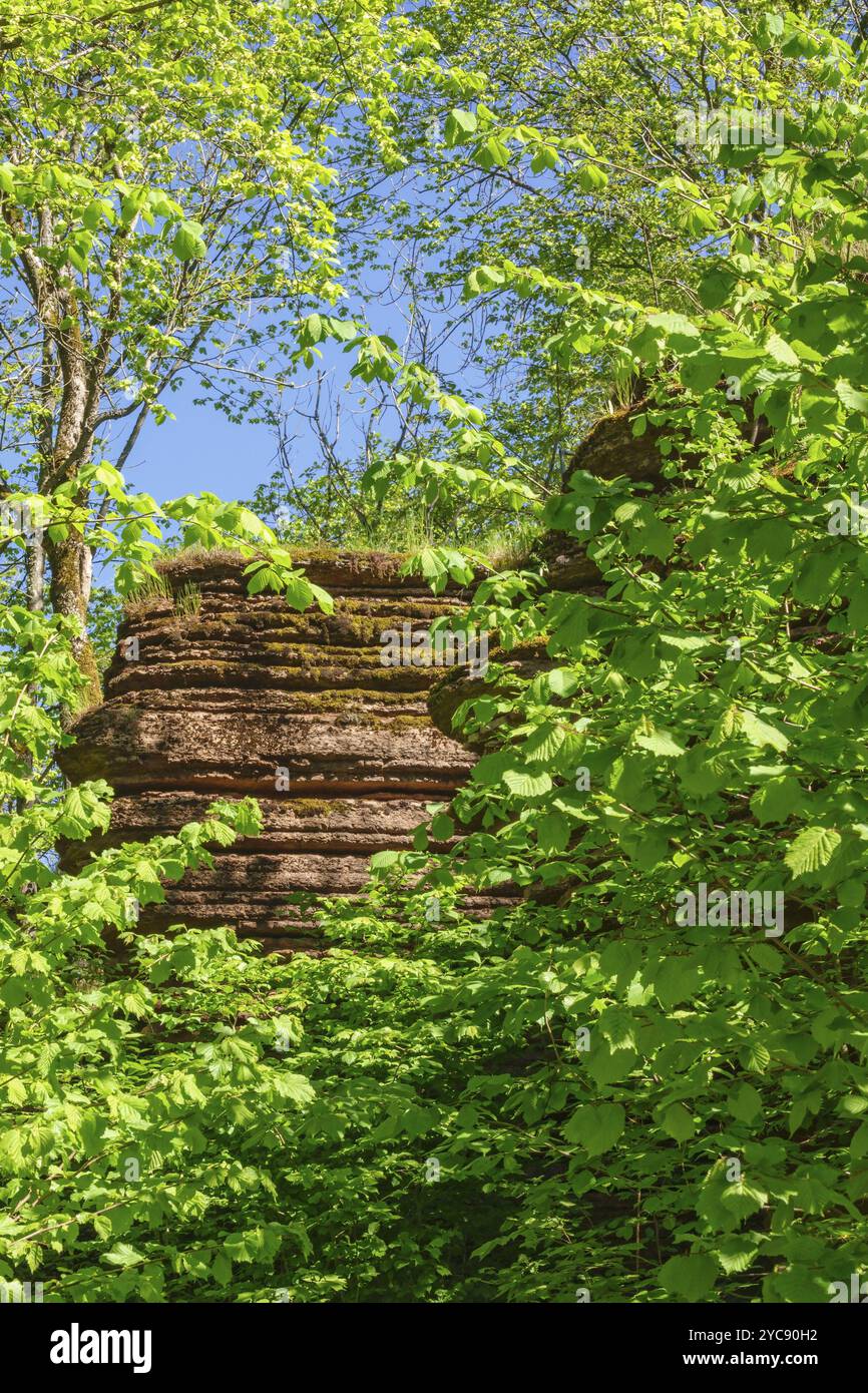 Forest Rocks Group Group of rocks in deciduous forest hi-res stock photography and images ...