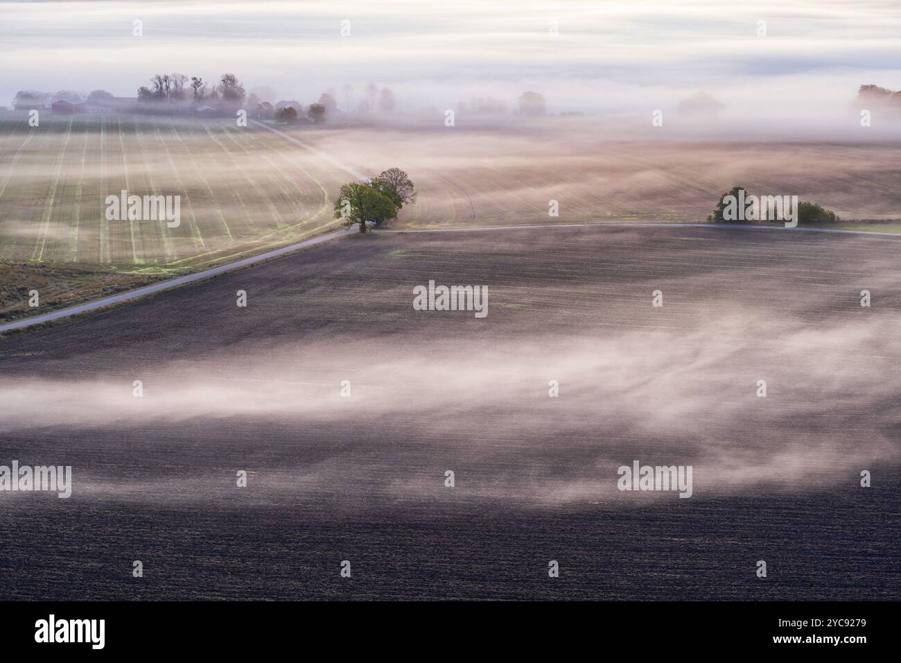 Morning fog in a rural landscape with fields and roads Stock Photo - Alamy