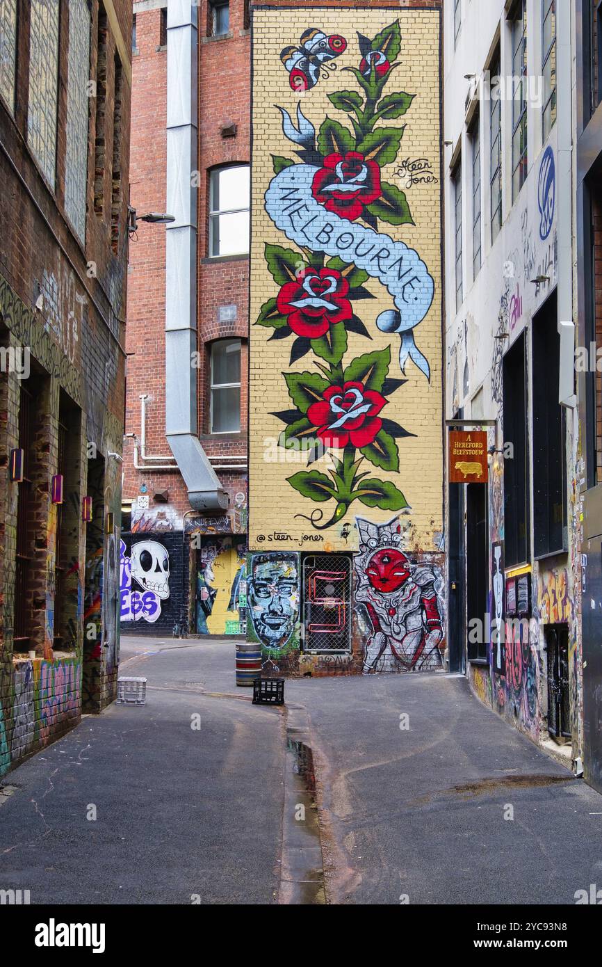 Colourful street art by Steen Jones on AC/DC Lane, Melbourne, Victoria ...