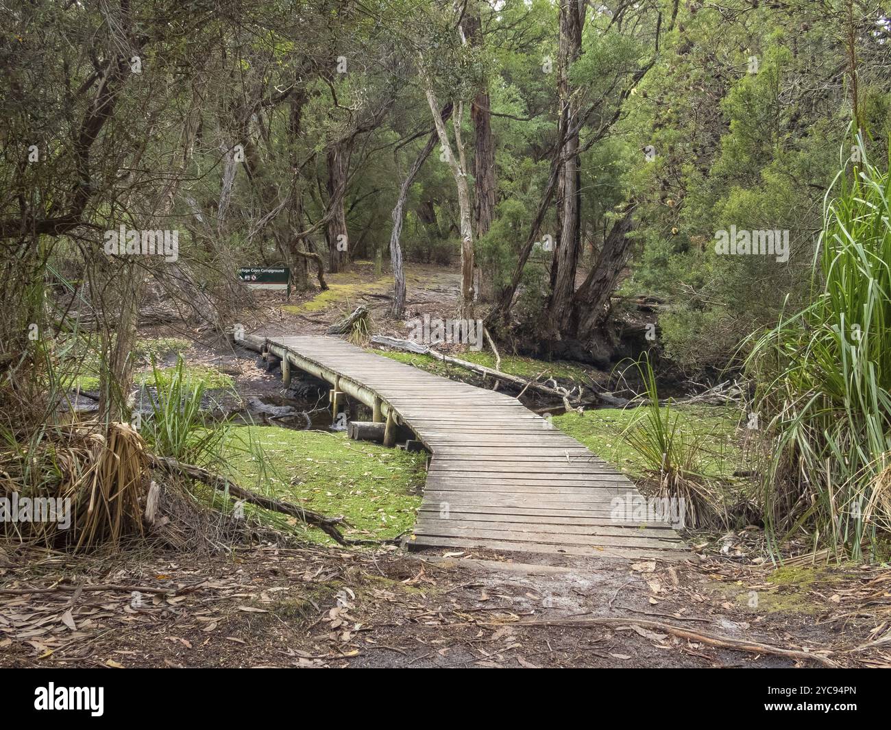 Footbridge at the Refuge Cove campground, Wilsons Promontory, Victoria, Australia, Oceania Stock Photo