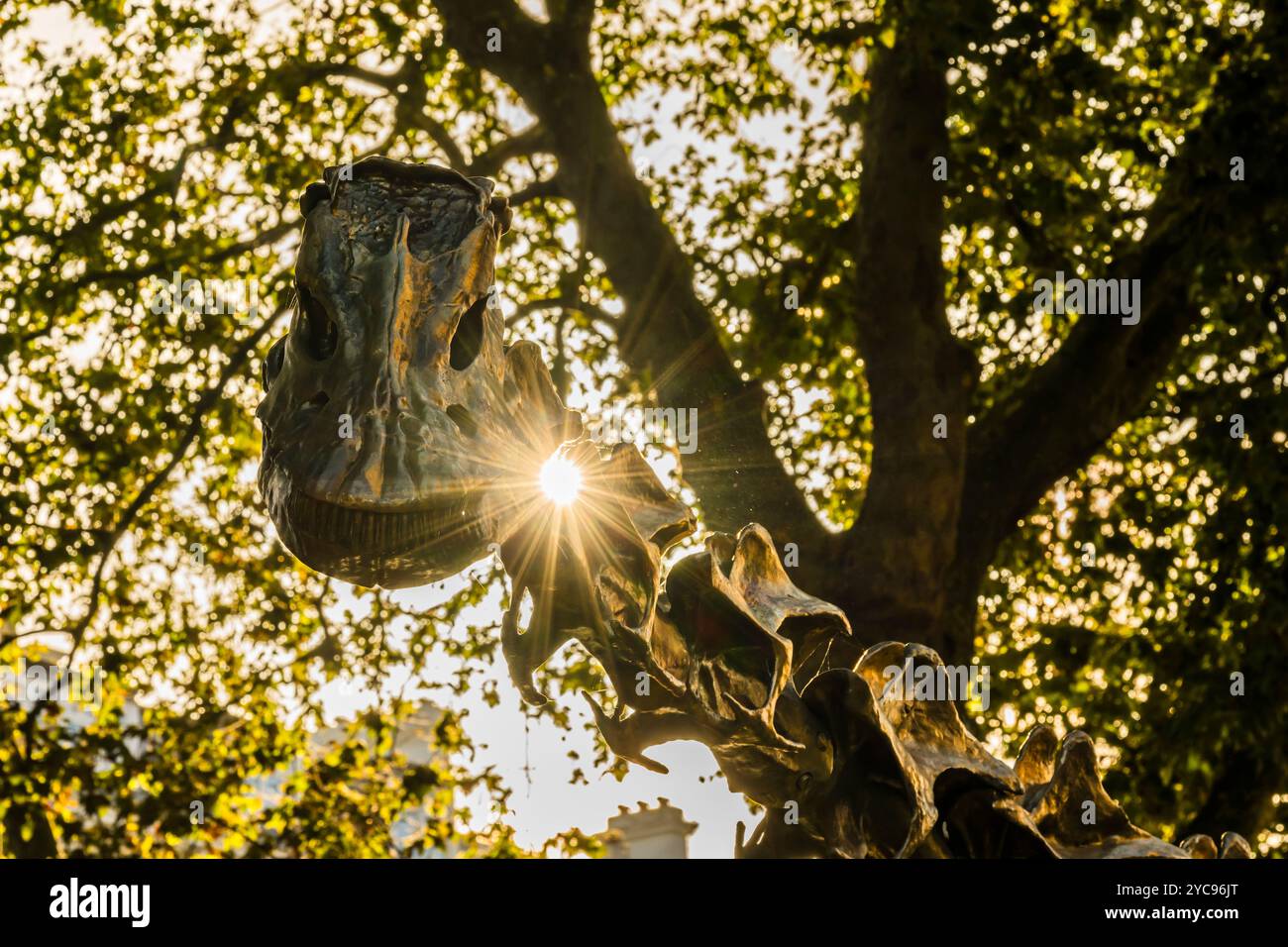 Autumn sun shining through the bronze Diplodocus ('Fern') in the Evolution Garden at the Natural History Museum, South Kensington, London, UK Stock Photo