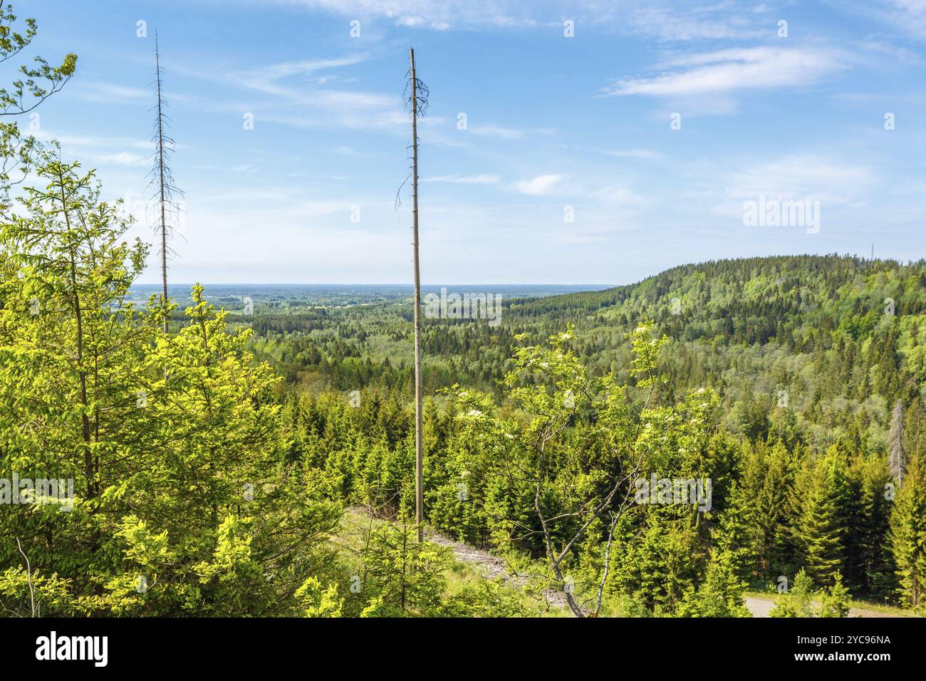 Birds eye view lush green hi-res stock photography and images - Alamy