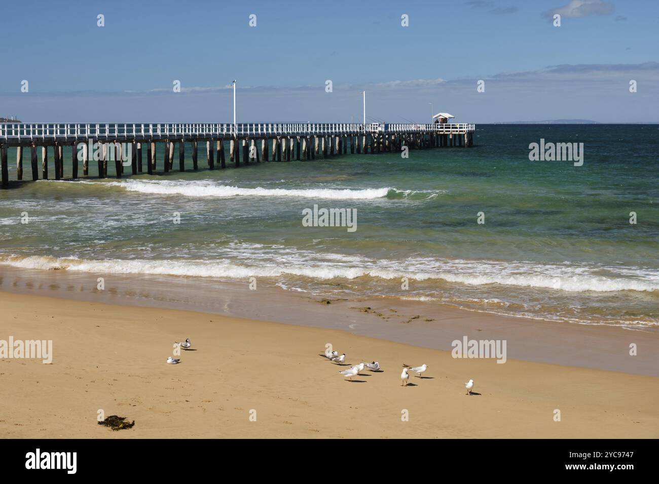 The pier was built in the 1890s to assist in the retrieval of people ...