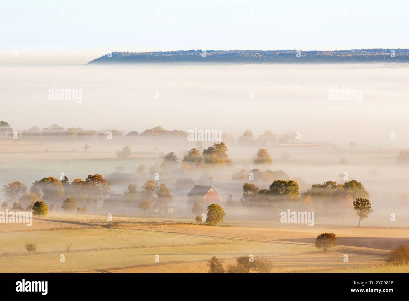 Morning fog over an agricultural landscape with autumn colors and farms ...