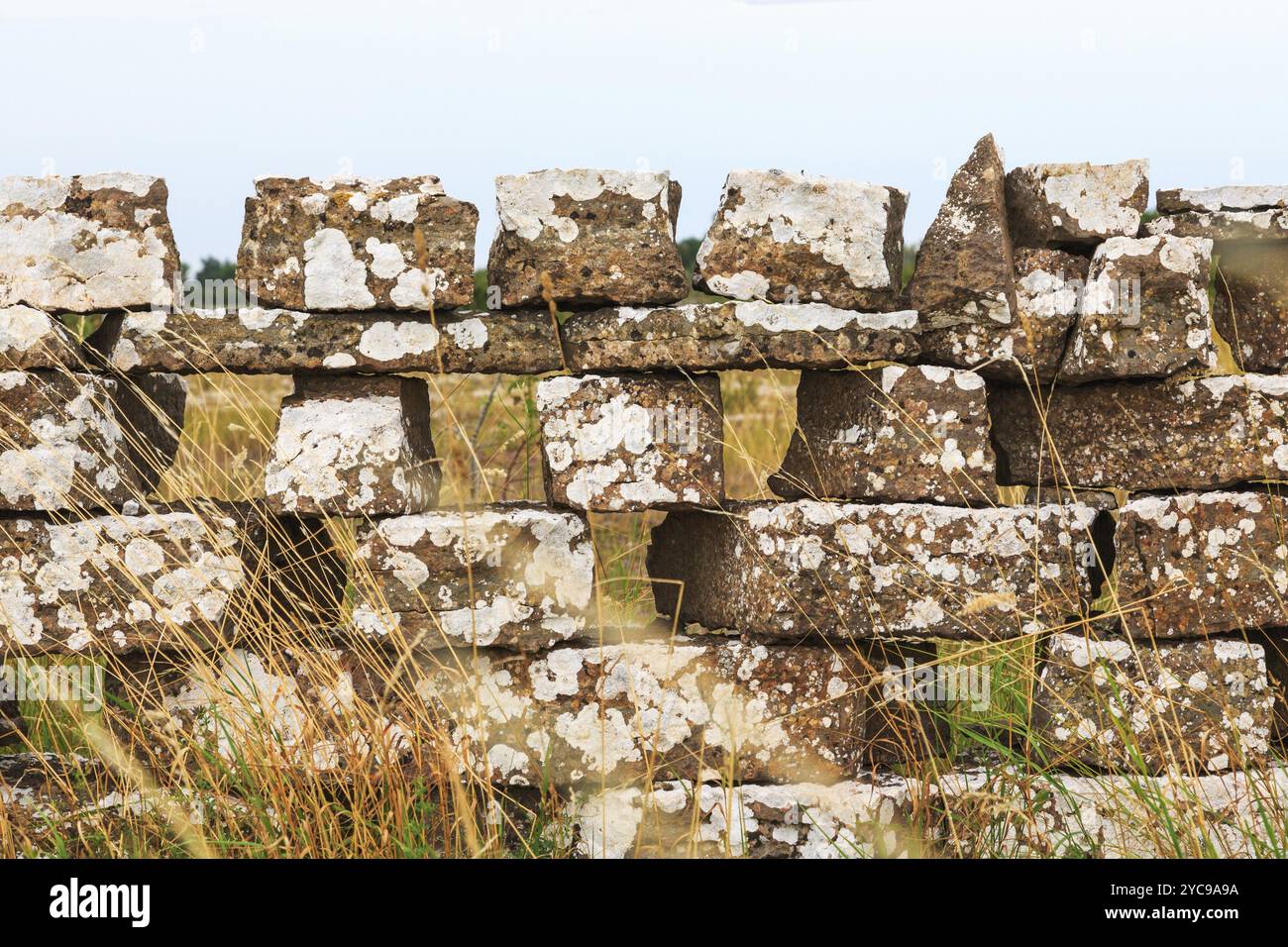 Old stone wall overgrown grass hi-res stock photography and images - Alamy
