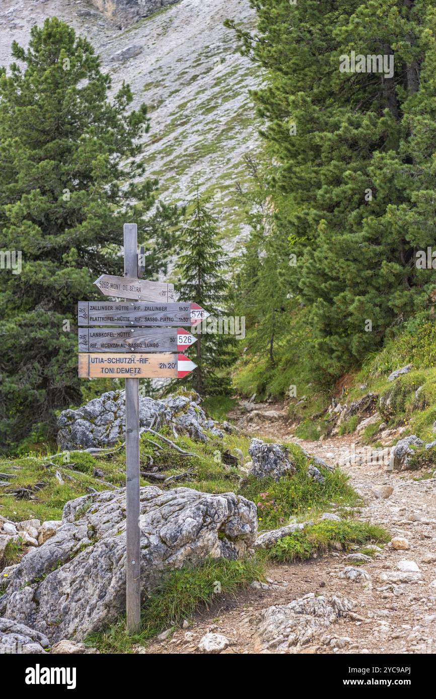 Footpath signs in a hiking area in the Alps Stock Photo - Alamy