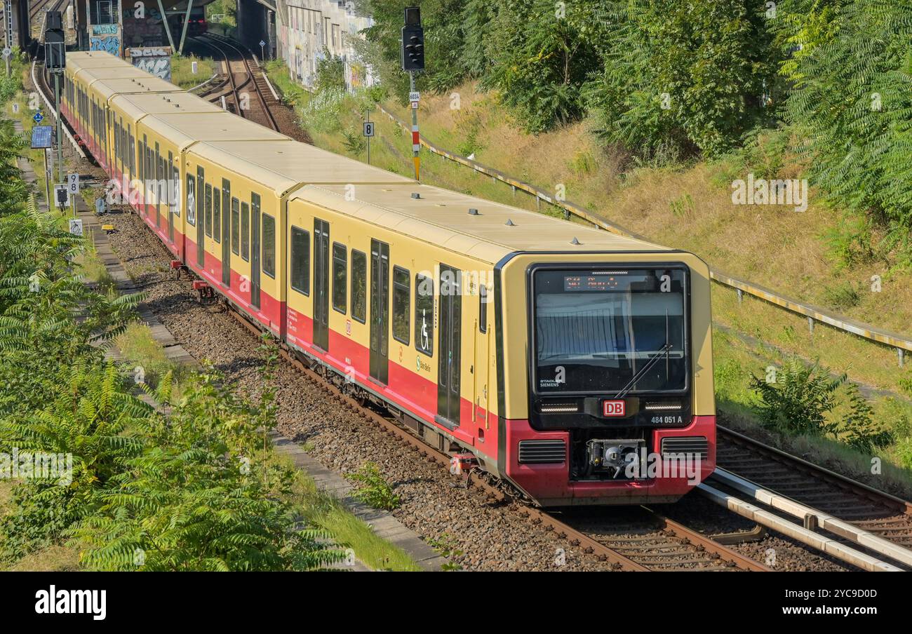 S 42, Ringbahn, SBahn, Berlin, Germany, Deutschland Stock Photo Alamy