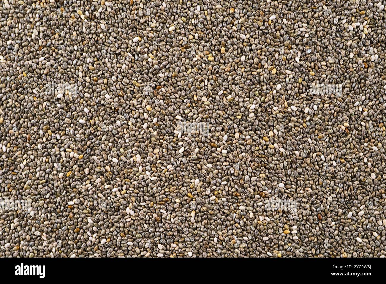 Chia seeds, full-frame background of a food ingredient. Stock Photo