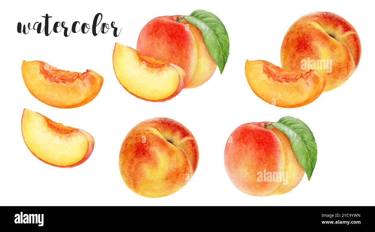 This is a Beautiful and Vibrant Watercolor Illustration showcasing a ...