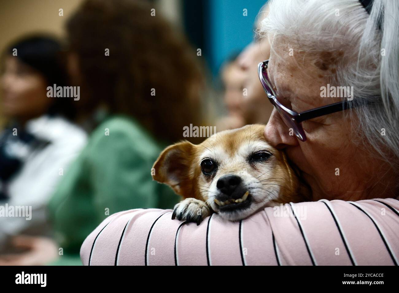 Anna con la cagnetta Chicca all' Inaugurazione del primo veterinario sociale LAV per la cura di animali che accompagnano persone in condizione di fragilit&#xe0; seguite da Sant'Egidio Roma, Italia - Marted&#xec; 22 Ottobre 2024 - Cronaca - (foto di Cecilia Fabiano/LaPresse) Anna with her dog Chicca at Inauguration of the first social veterinarian by Lega Anti Vivisection for the care of animals that accompany people in fragile conditions followed by Sant'Egidio Rome, Italy - Tuesday October 22, 2024 - News - (photo by Cecilia Fabiano/LaPresse) Stock Photo