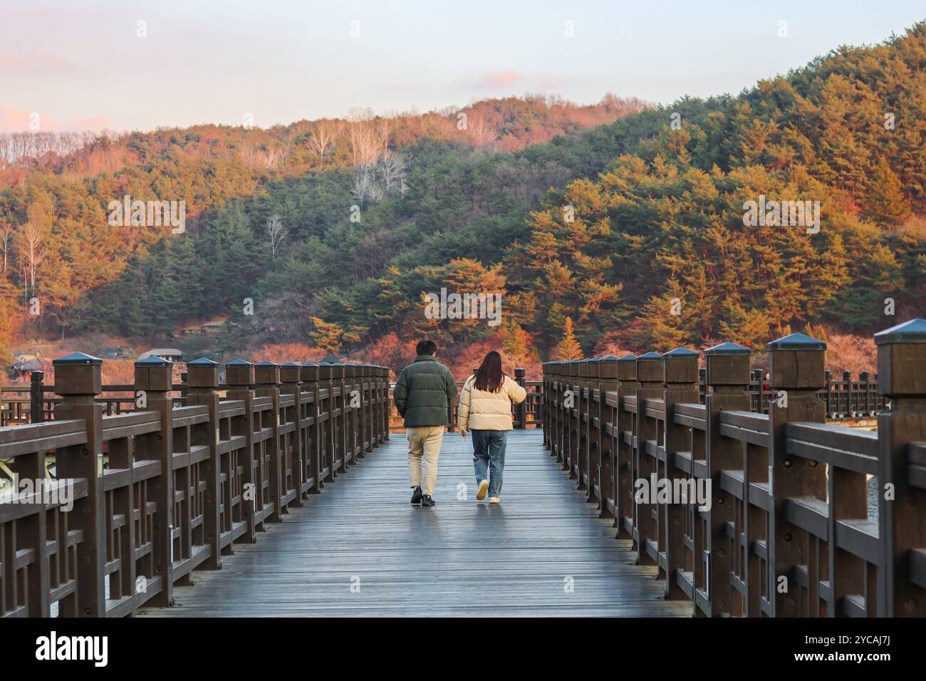 Back view cute couple walking by woryeonggyo Bridge, Wooden bridge at Andong, South Korea on autumn season. Andong couple trip. Vanishing point and sy Stock Photo