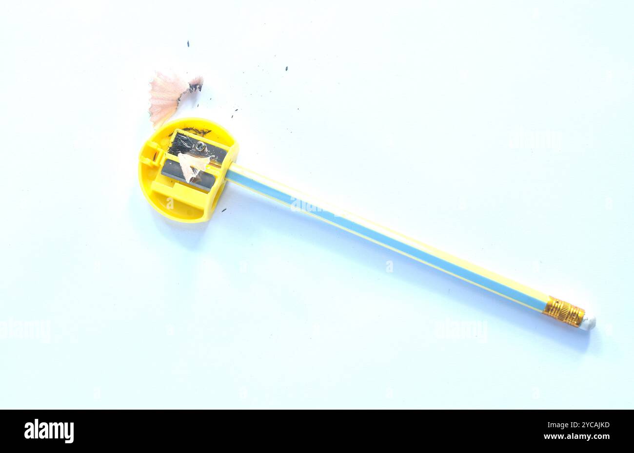 pencil shaving  in yellow plastic sharpener arranging on white background Stock Photo