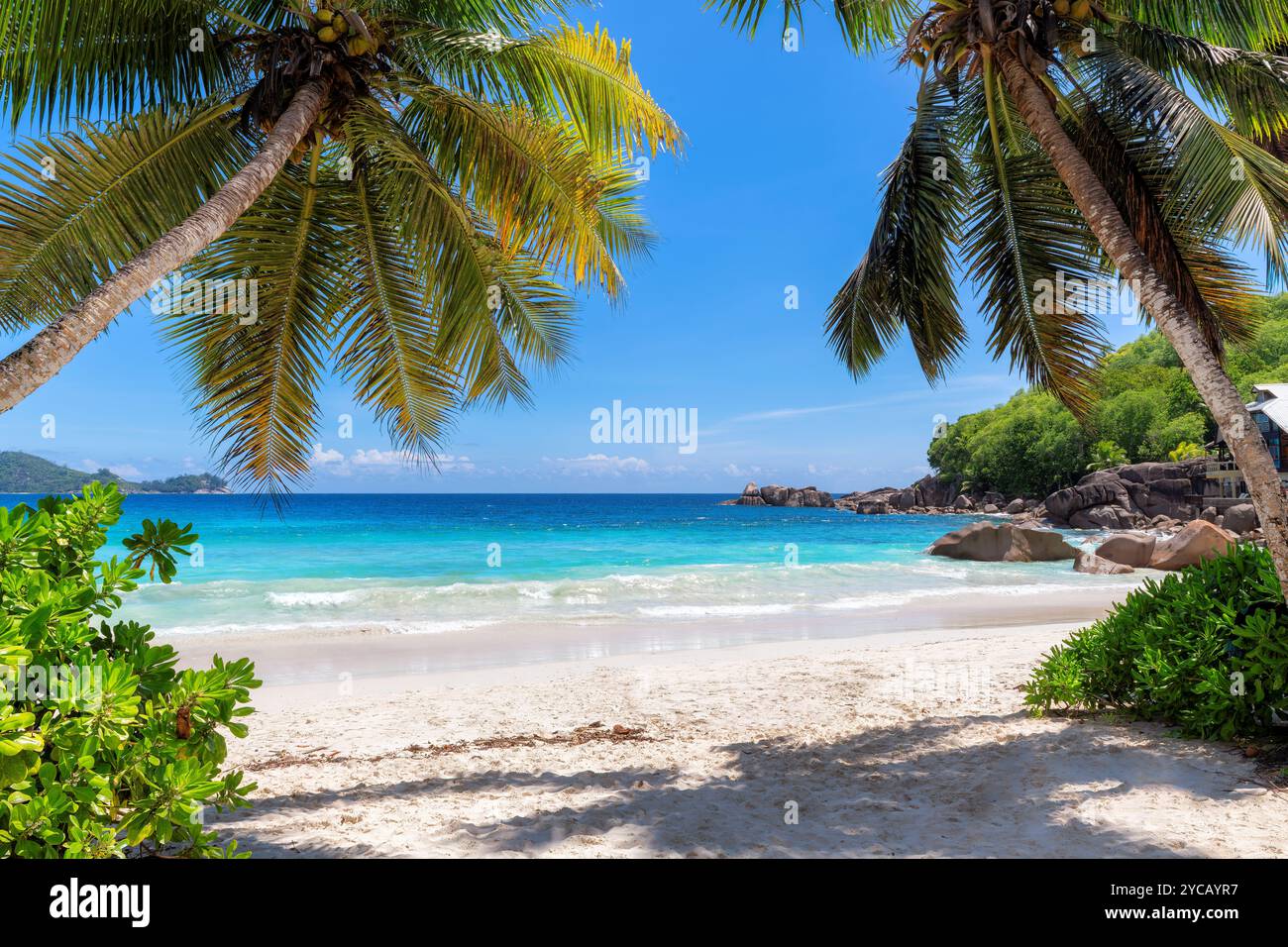 Tropical Beach. Sandy beach with palm and turquoise sea. Stock Photo