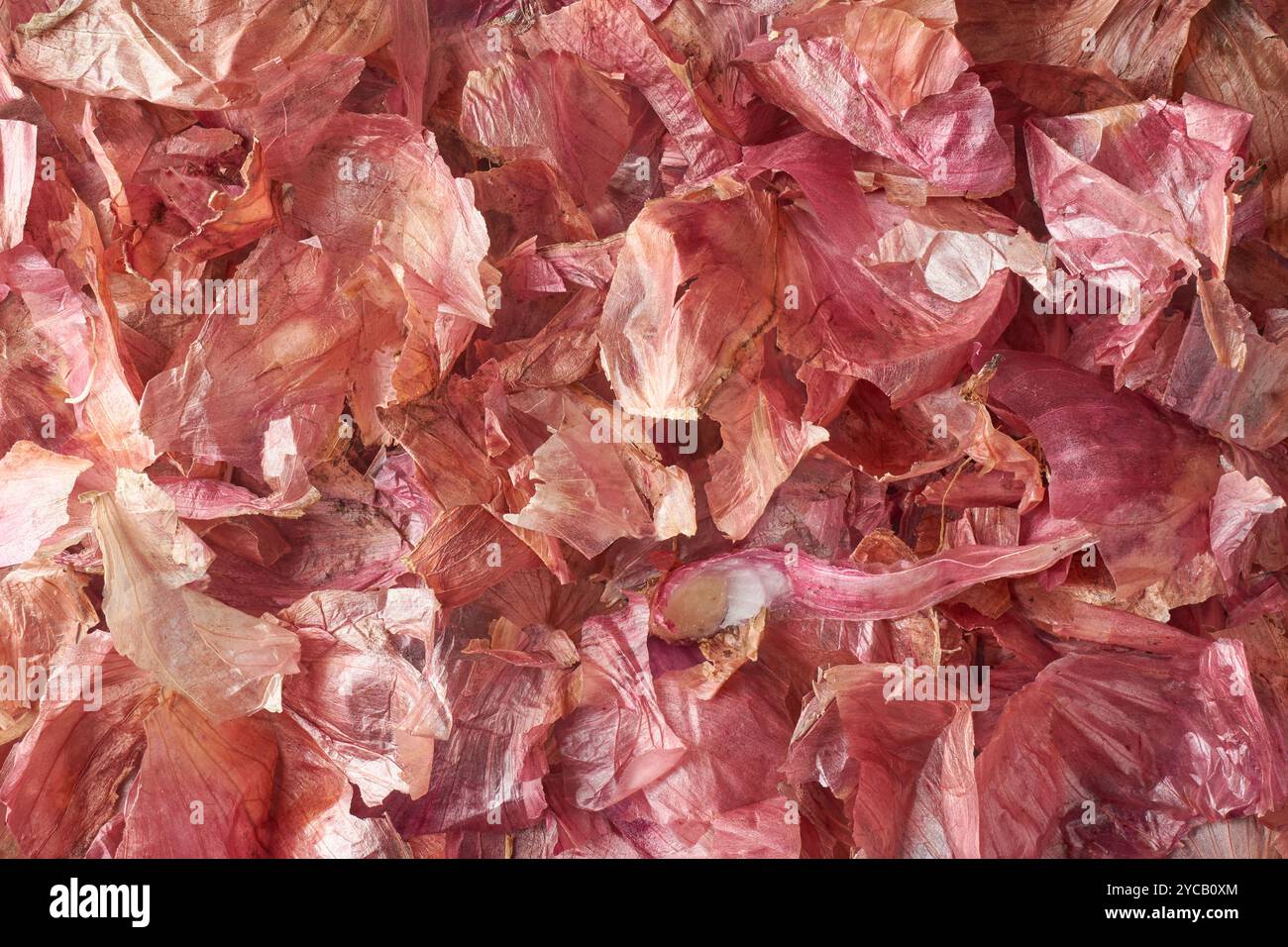 pile of onion peel, useful and beneficial discarded vegetable skin or food waste, used as natural fertilizer or compost, culinary and health benefits Stock Photo