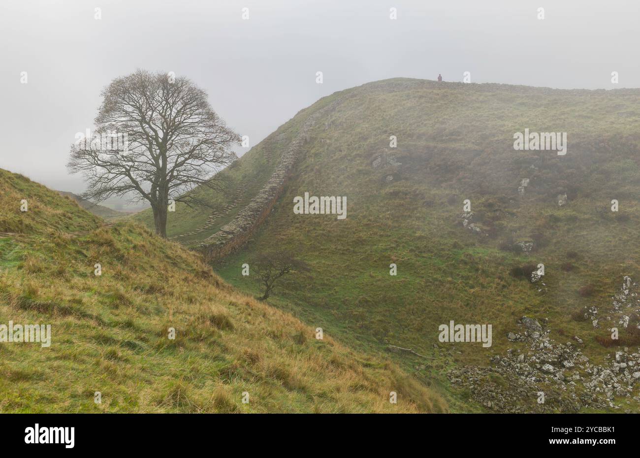 Hadrian's wall along the ridge of Peel crags flanked by moorland and ...