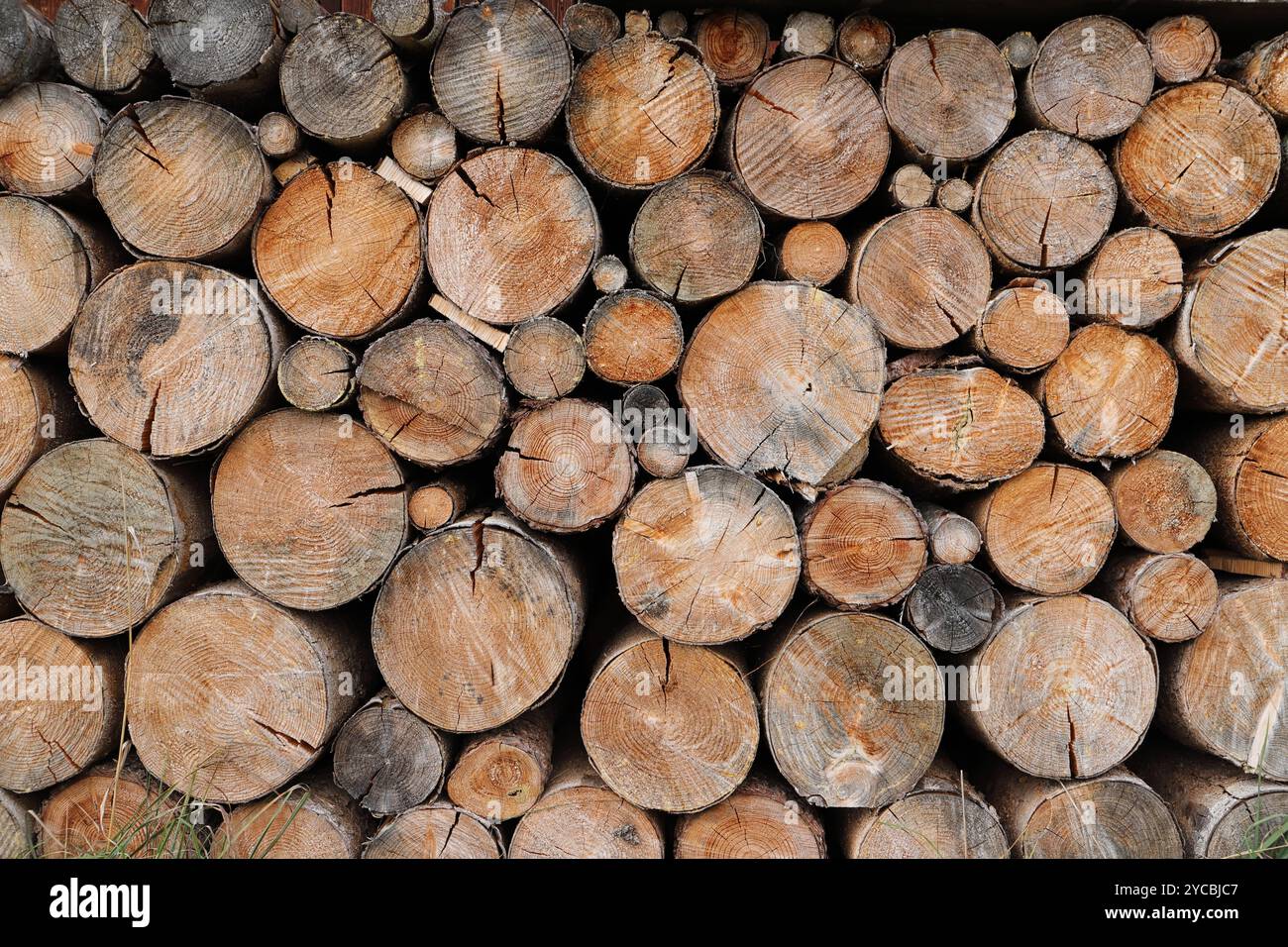different round wooden disks as a background on a board Stock Photo - Alamy