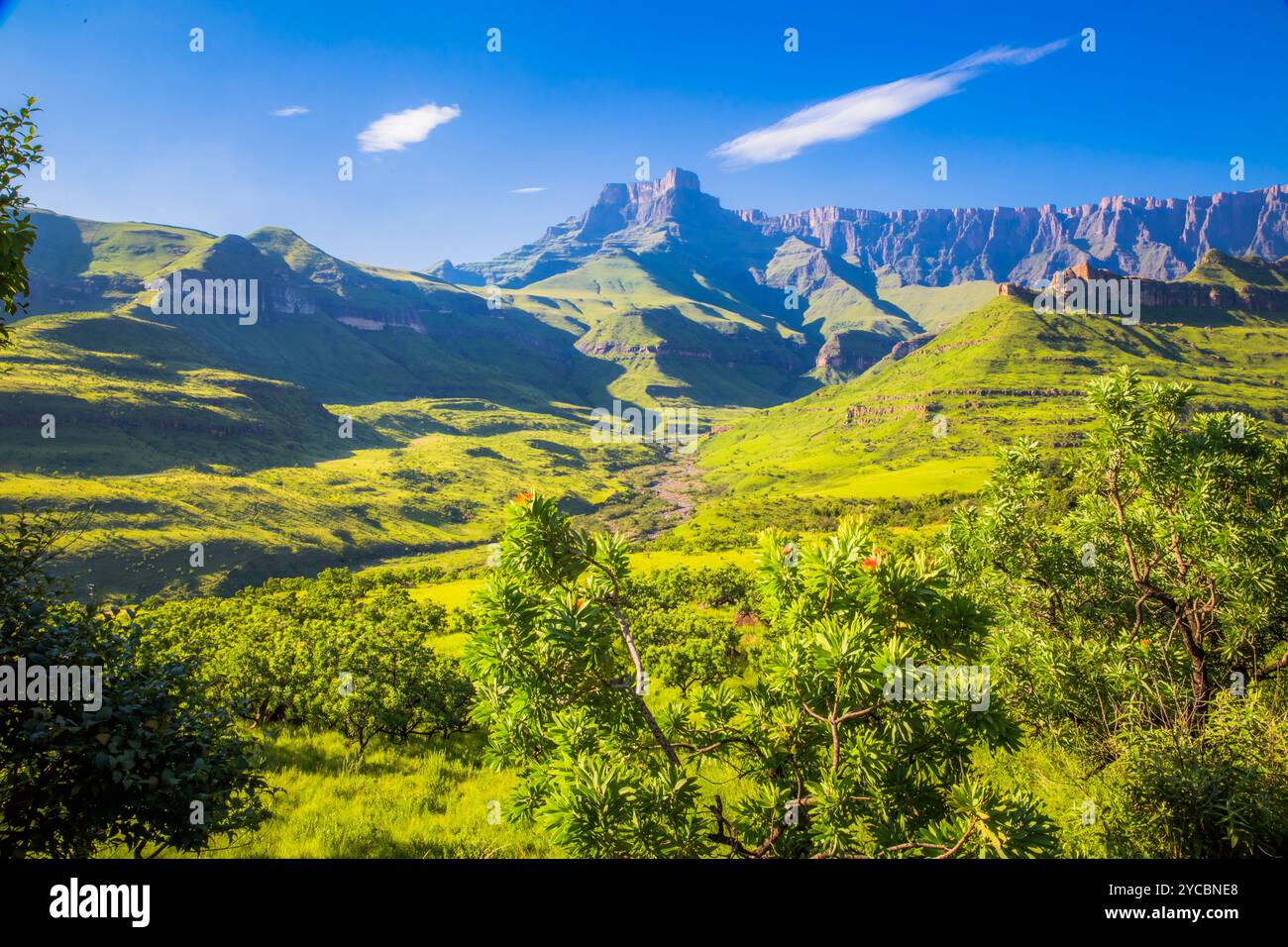 Lush green landscape of Drakensberg mountains in South Africa Stock ...
