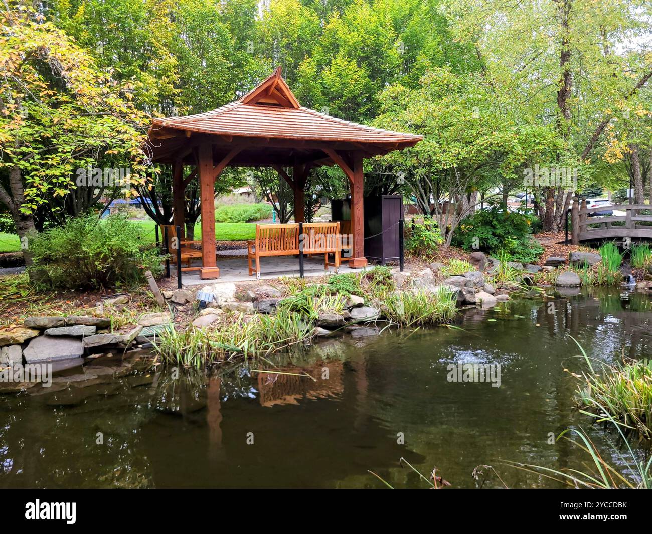 Wood Gazebo with Koi pond in small park - Smartphone Captured Stock Image