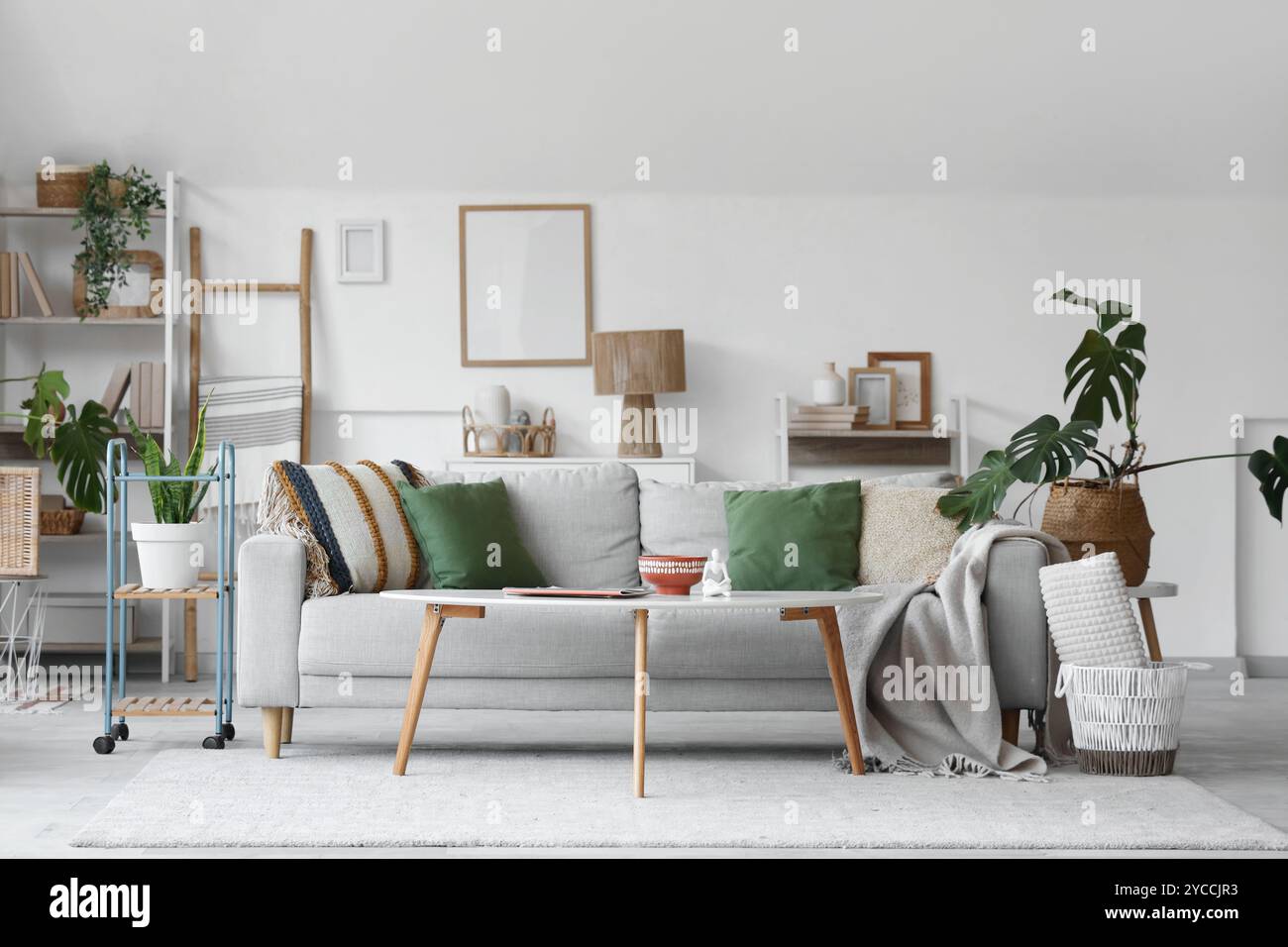 Cozy sofa, coffee table and houseplants in interior of living room ...