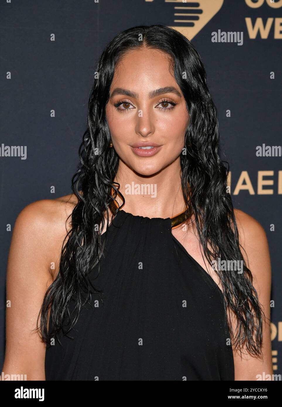 Ash K Holm attends the God's Love We Deliver Golden Heart Awards at The ...