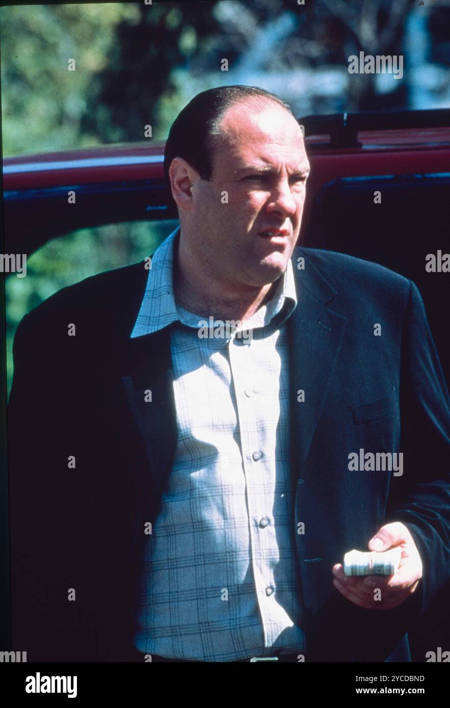 October 22, 2024, Hollywood, California, USA: RELEASE DATE: 1999 TITLE: The Sopranos STUDIO: HBO/Cinemax PLOT: New Jersey mob boss Tony Soprano deals with personal and professional issues in his home and business life that affect his mental state, leading him to seek professional psychiatric counseling. STARRING: James Galdofini (Credit Image: © Entertainment Pictures via ZUMA Press) EDITORIAL USAGE ONLY! Not for Commercial USAGE! Stock Photo