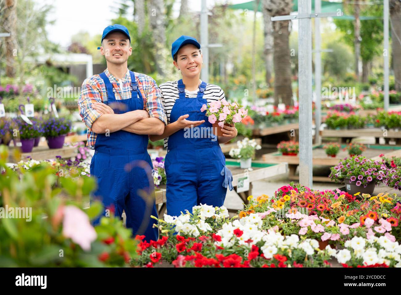 Two garden store employees hi-res stock photography and images - Alamy