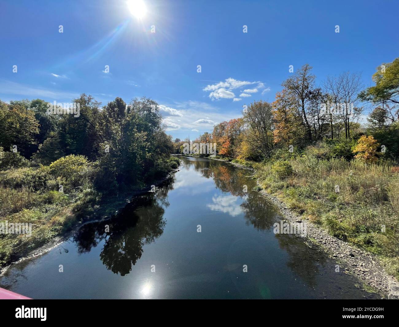 Autumn's palette paints riverside trees as a tranquil stream mirrors the azure sky. Nature's canvas reflects, doubling the season's vibrant beauty. - Smartphone Captured Stock Image