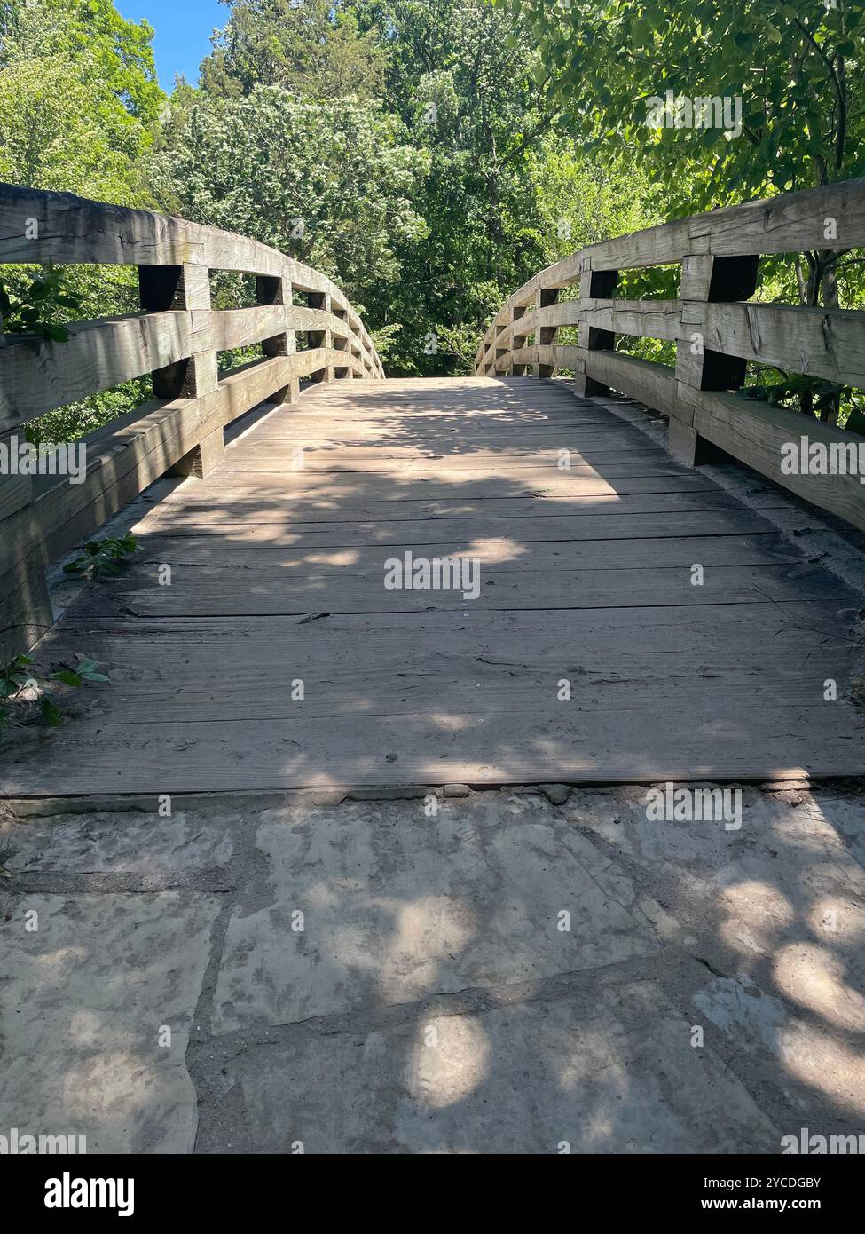Wooden pedestrian bridge leading into a forested area on a bright sunny day. A tranquil scene perfect for nature, travel, or outdoor lifestyle themes. - Smartphone Captured Stock Image