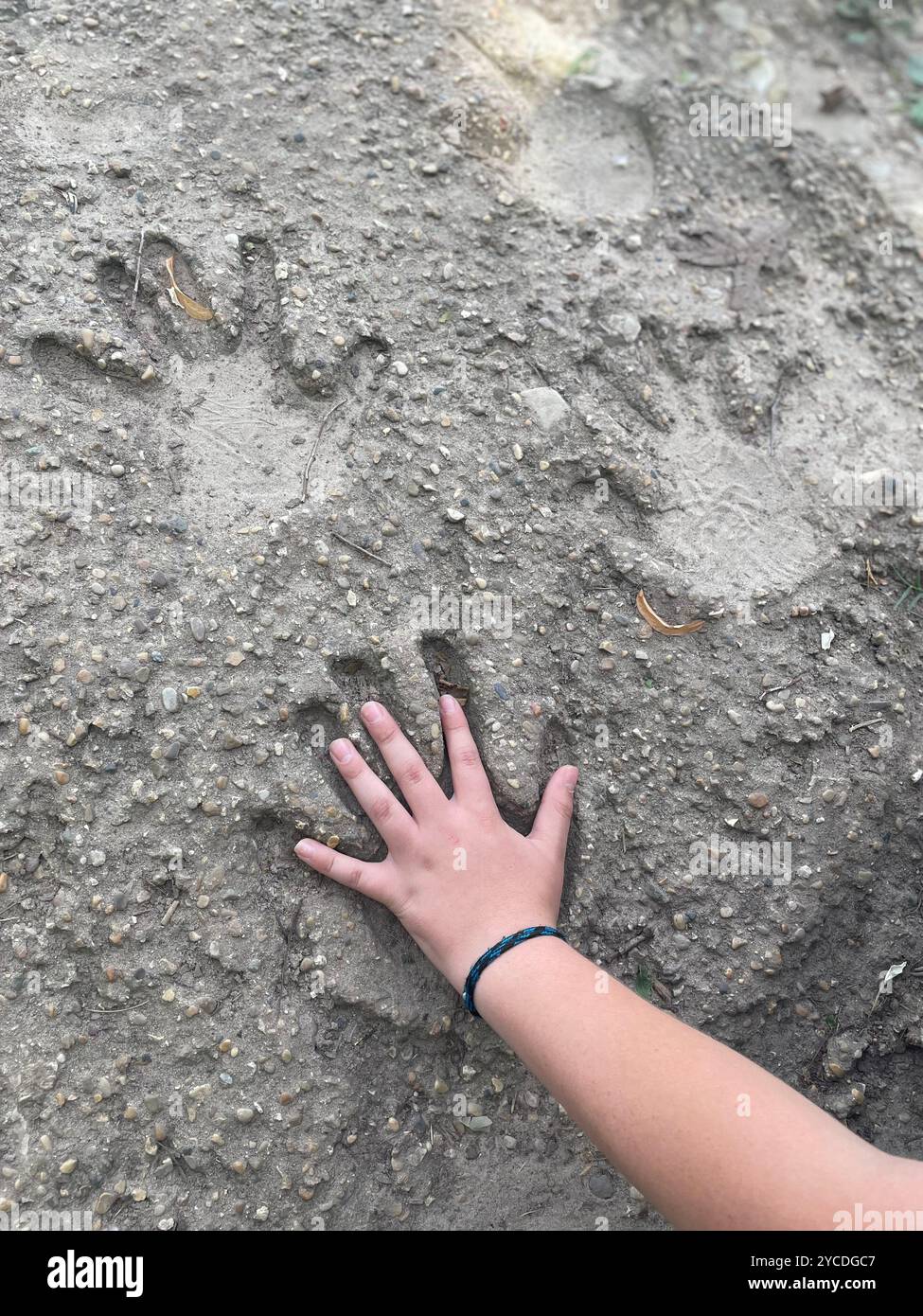 A hand gently placed over a handprint in the earth, symbolizing a connection with nature and the environment, highlighting our bond with the world. - Smartphone Captured Stock Image