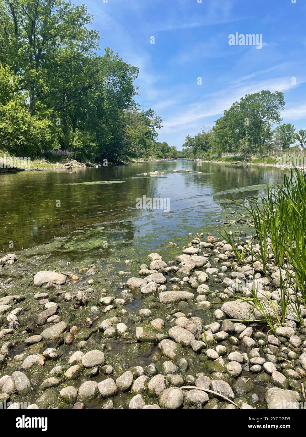 View of a river from the rocky landscape on a beautiful sunny day - Smartphone Captured Stock Image